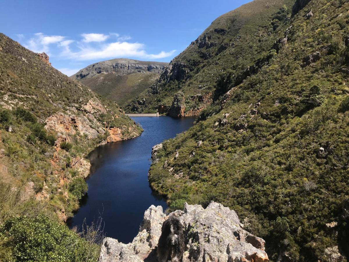 Bird'S View Guest Accommodation Hermanus Exterior foto