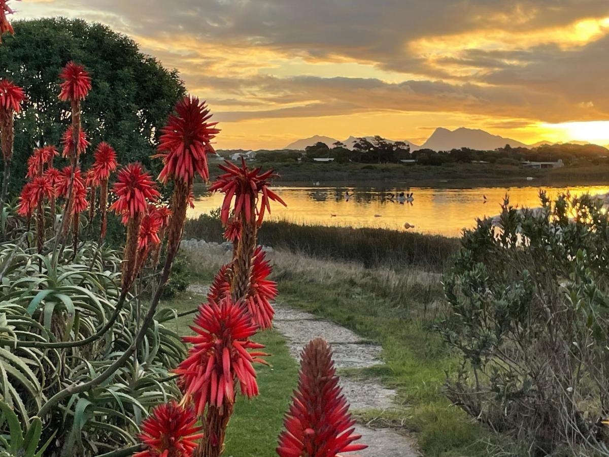 Bird'S View Guest Accommodation Hermanus Exterior foto
